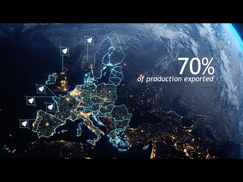 Preview image for the video "FMGC, an innovative foundry with a European dimension.".